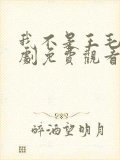 我不是王毛连续剧免费观看