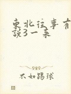 东北往事有声小说3一来