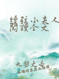 续弦小夫人免费阅读全文