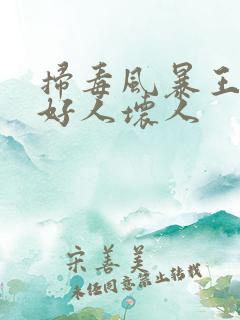 扫毒风暴王奇是好人坏人