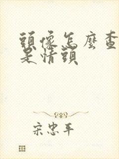 头像怎么查是不是情头