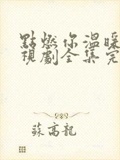 点燃你温暖我电视剧全集完整版免费