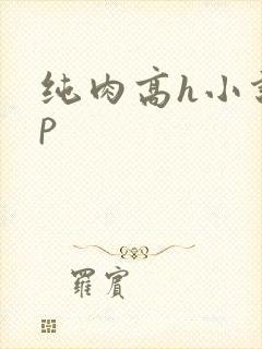 纯肉高h小说np