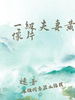 一级夫妻黄色录像片