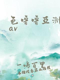 色噜噜亚洲综合av