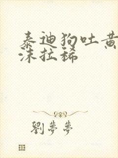 泰迪狗吐黄水带沫拉稀