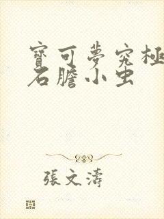 宝可梦究极绿宝石胆小虫