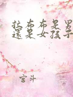 拉布布是男孩子还是女孩子