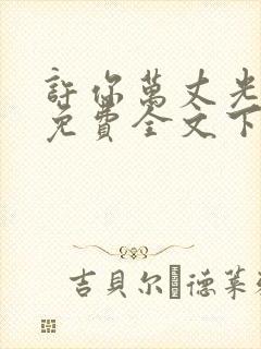 许你万丈光芒好免费全文下载