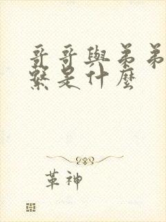 哥哥与弟弟的关系是什么