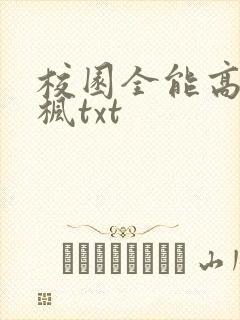 校园全能高手季枫txt