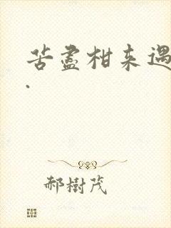 苦尽柑来遇见你.