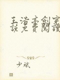 王浩亮剑穿越小说免费阅读