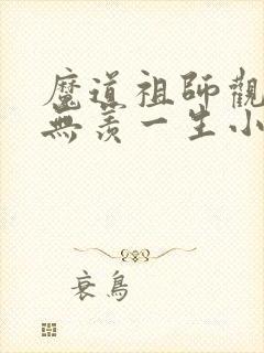 魔道祖师观影魏无羡一生小说