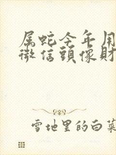 属蛇今年用什么微信头像财运好