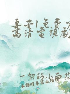 妻子1免费完整高清电视剧在线看