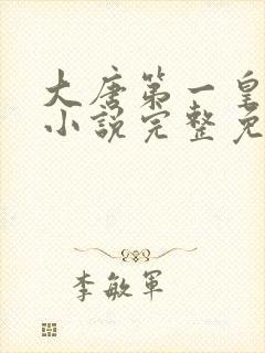 大唐第一皇太子小说完整免费