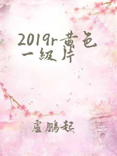 2019r黄色一级片