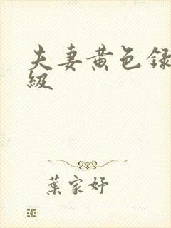 夫妻黄色录像一级