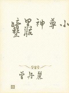 暗黑神尊小说完整版