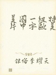 美国一级特黄大片中字欧美