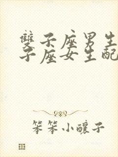 双子座男生和狮子座女生配对指数