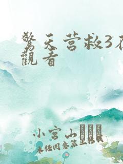 惊天营救3在线观看