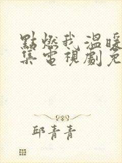 点燃我温暖你全集电视剧免费观看