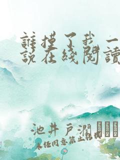 谁摸了我一下小说在线阅读