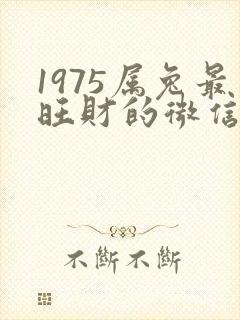 1975属兔最旺财的微信头像