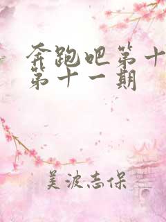 奔跑吧第十一季第十一期