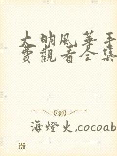 大明风华手机免费观看全集