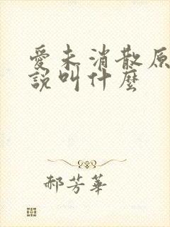 爱未消散原著小说叫什么
