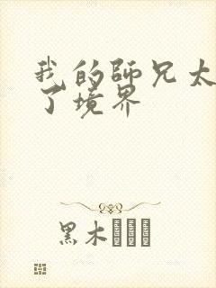 我的师兄太稳健了境界