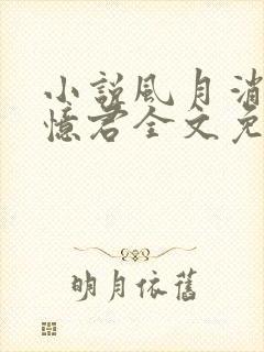 小说风月消弭不忆君全文免费阅读