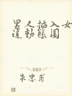 男人插入女人阳道动态图