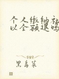 个人缴纳社保可以全额退吗 怎么退