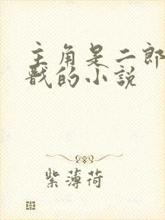 主角是二郎神杨戬的小说