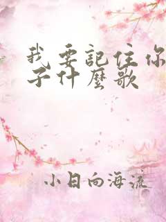 我要记住你的样子什么歌