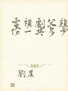 电视剧父亲的身份一共多少集