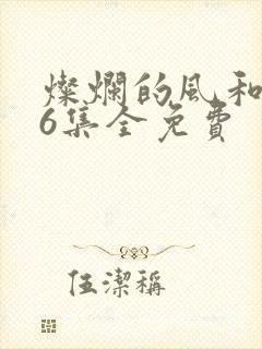 灿烂的风和海36集全免费