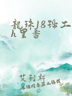 龙珠18号工口h里番