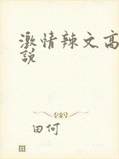 激情辣文高h小说