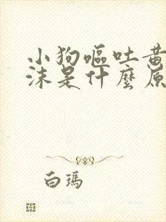 小狗呕吐黄水泡沫是什么原因