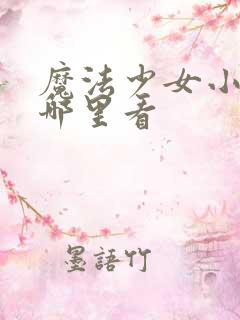 魔法少女小圆在哪里看