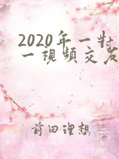 2020年一对一视频交友app