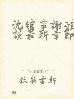 沈绾宁谢淮今小说最新章节免费阅读