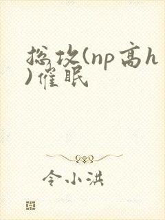 总攻(np高h)催眠