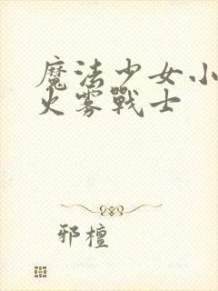 魔法少女小圆和火雾战士