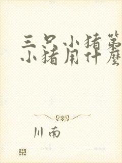 三只小猪第二只小猪用什么盖房子